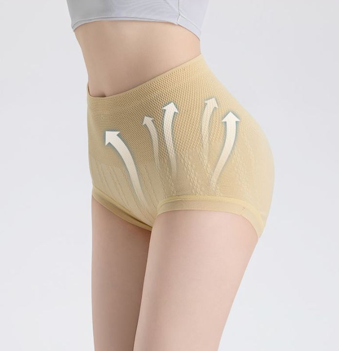 Sanivelle | High Waist Control Briefs